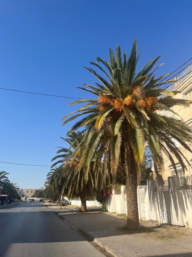 Le BardoSublime Duplex Au Bardo Tunisアパートメント エクステリア 写真
